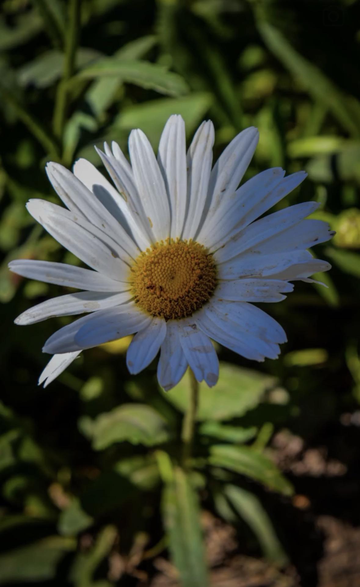 Fotografía 5